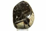 Septarian Dragon Egg Geode - Sparkly Black Crystals #344440-2